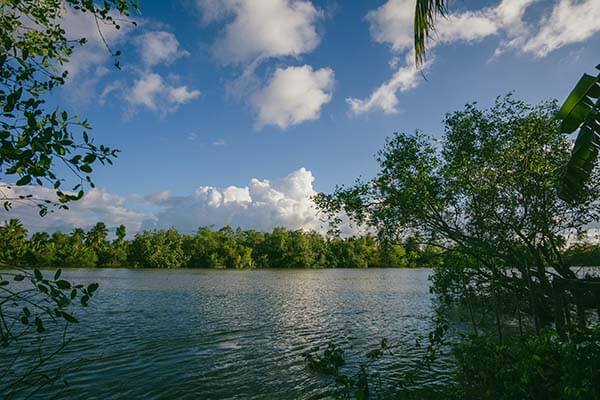 这种诡异的比赛节奏，看得人心慌，kaiyun里的实时评论全是在骂。