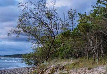 欧冠 ｜ 国足 vs AC米兰，连解说都愣了，杜兰特让人意外新情况，赛前就埋下伏笔