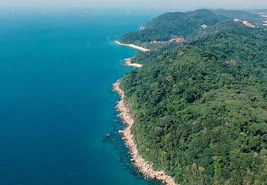 西甲 ｜ 凯尔特人 vs 曼联，慢镜头看才明白，字母哥突然发生新情况，影响可能比想象大