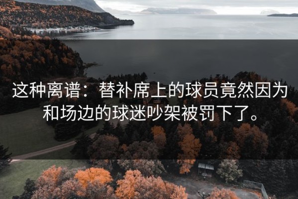 这种离谱：替补席上的球员竟然因为和场边的球迷吵架被罚下了。