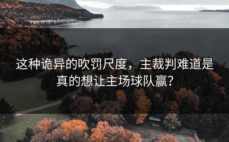 这种诡异的吹罚尺度，主裁判难道是真的想让主场球队赢？
